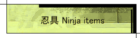  E Ninja items 